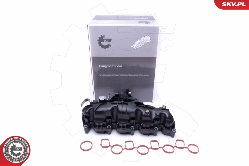 Intake Manifold Module